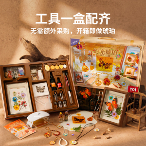 TOI图益琥珀diy材料10岁11岁女孩生日礼物