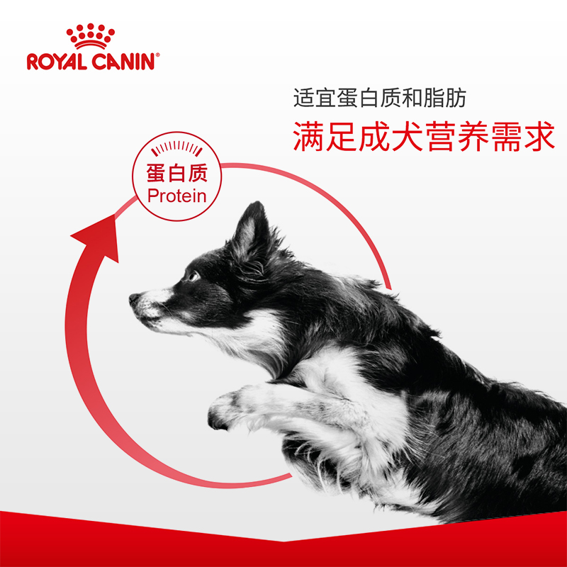 皇家狗粮通用型CC成犬粮泰迪比熊宠物狗金毛柯基柴犬犬粮8KG幼犬 - 图1