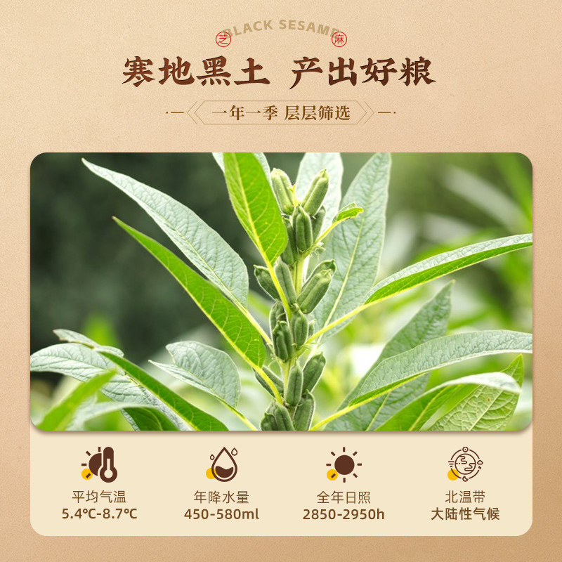 2025邹有才熟黑芝麻粒袋生黑芝麻熟免洗即食现炒熟芝麻农家自产杂,淘宝优惠券,粉丝福利购,淘宝优惠卷