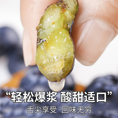 京运达云南高山蓝莓巨无霸