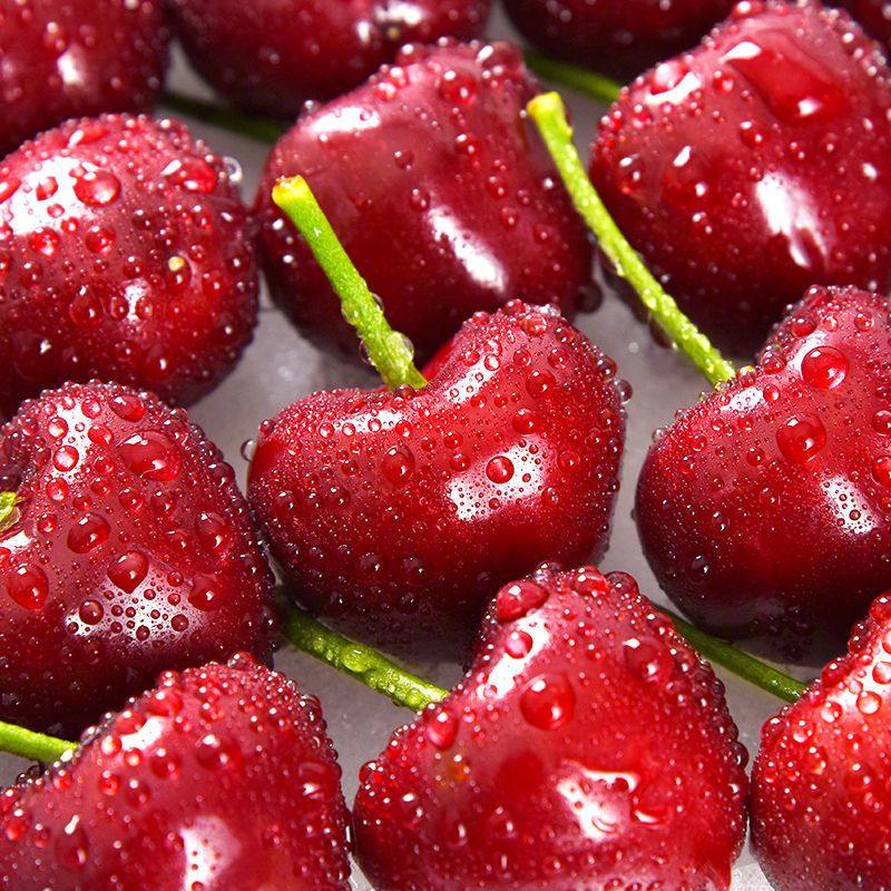 【顺丰空运】大连美早樱桃国产车厘子新鲜应季水果当季生鲜,淘宝优惠券,粉丝福利购,淘宝优惠卷