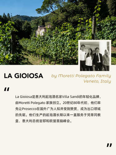 La Gioiosa意大利进口DOC级Prosecco普罗塞克小黄吨起泡白葡萄酒 - 图2