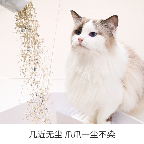 PETSHY百宠千爱 白茶猫砂豆腐混合猫砂2.5kg*4除臭无尘幼猫可冲厕 - 图3