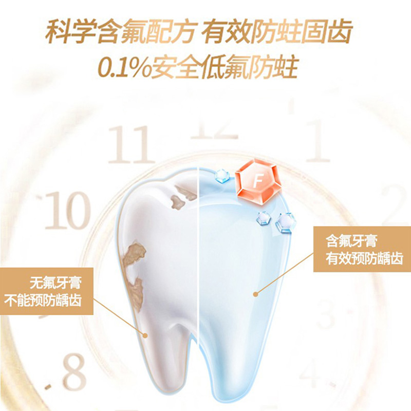 牙博士金装长效防蛀牙膏牙刷含氟护龈防龋减少牙菌斑