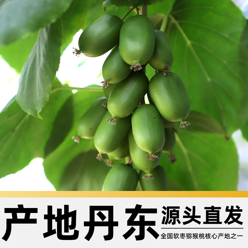 图 4