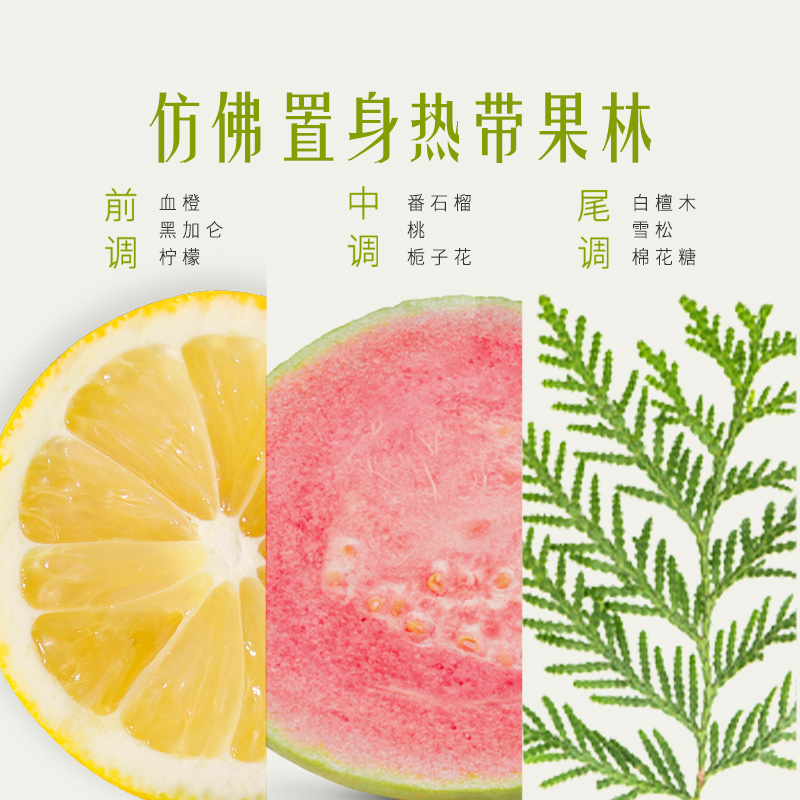 【k姐推荐】发之食谱无花果蓬松果香洗发水280ml*3-图2