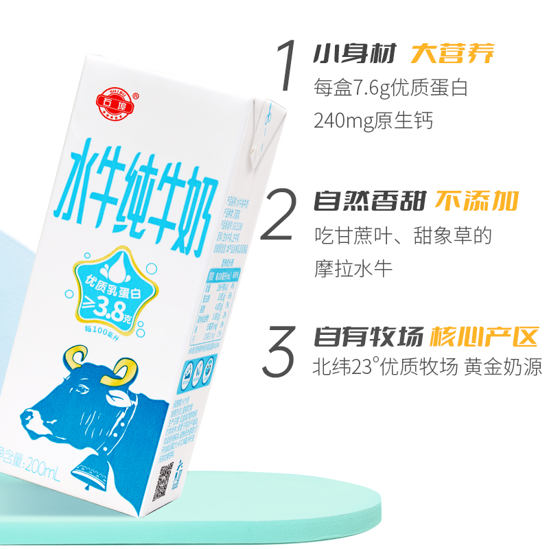 石埠纯水牛奶3.8克蛋白200ml*12盒三箱装新鲜儿童学生早餐纯牛奶 - 图2