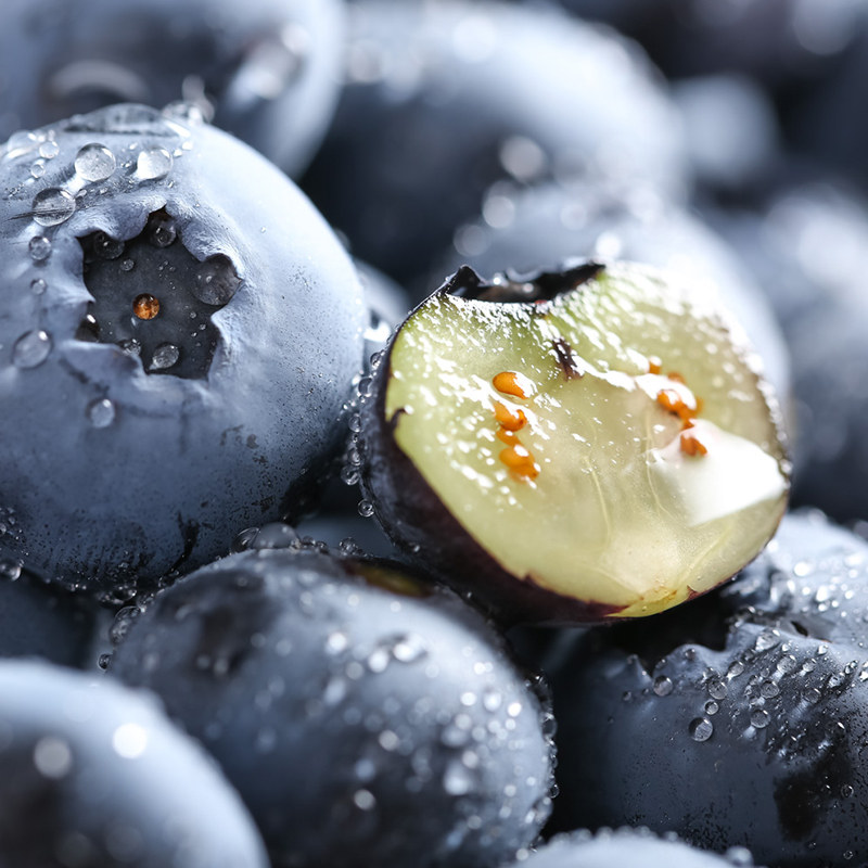 云南蓝莓大果新鲜蓝莓当季高山新鲜水果整箱,淘宝优惠券,粉丝福利购,淘宝优惠卷