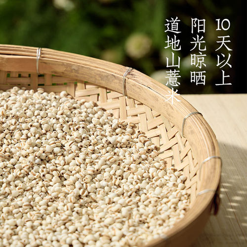 好望水0糖0脂0能量五指毛桃薏米水植物饮料 - 图1