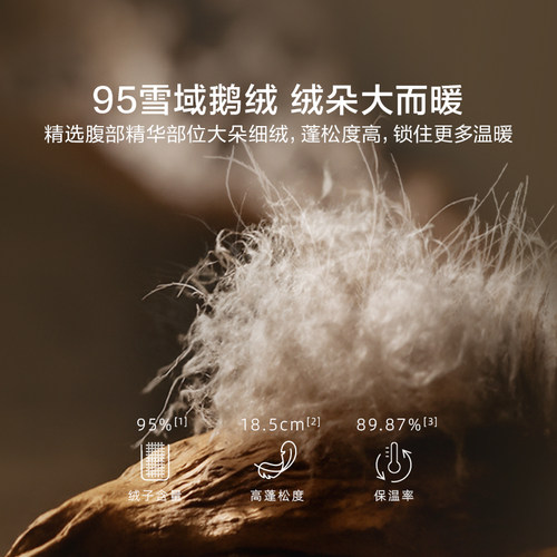 罗莱家纺95鹅绒被羽绒冬被子学生宿舍四季通用子母被芯二合一结婚 - 图1