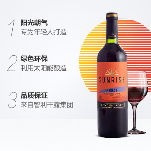 智利原装进口干露酒庄旭日梅洛/美乐干红红酒葡萄酒 - 图1