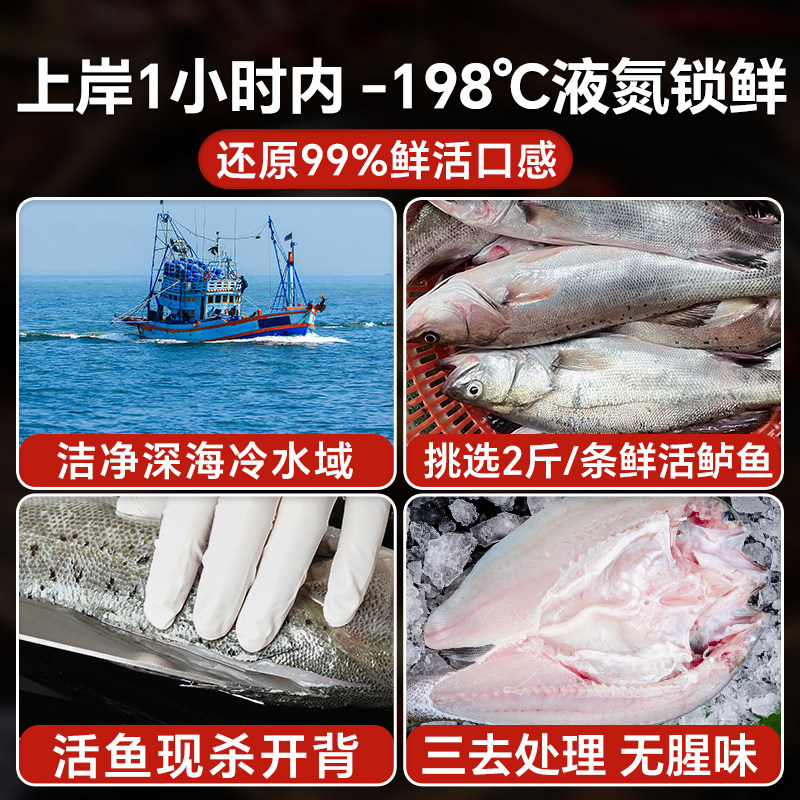 海仙部落海鲈鱼开背去鳞去腮去内脏新鲜冷冻免处理烤鱼半成品,淘宝优惠券,粉丝福利购,淘宝优惠卷