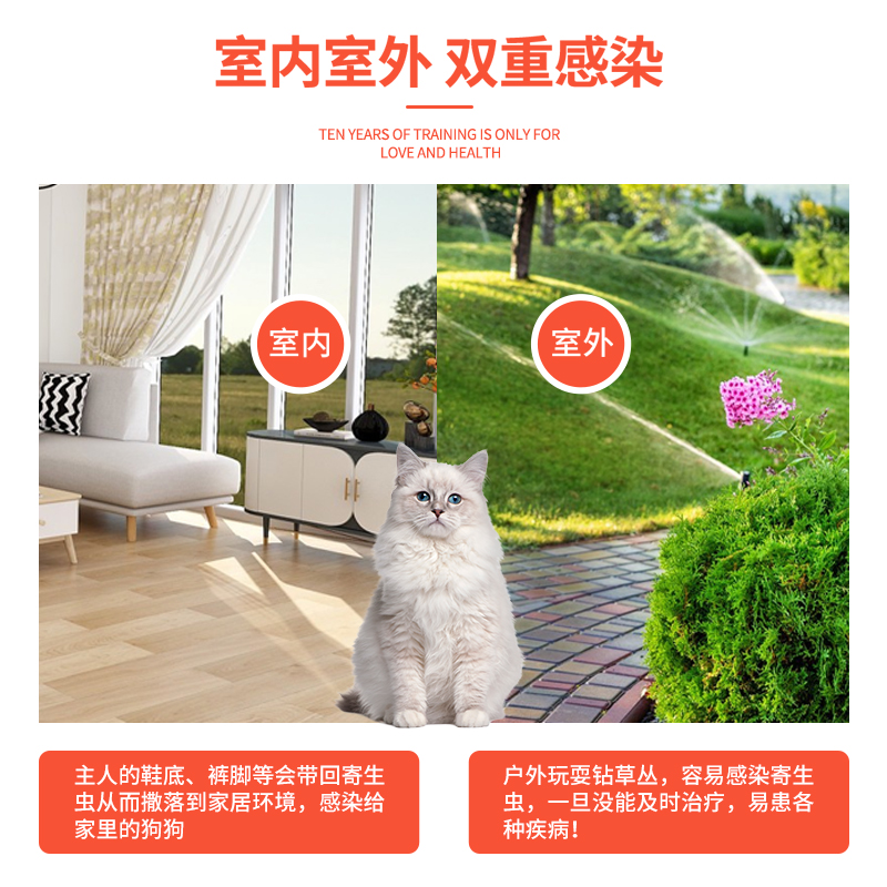 hugpet狗狗驱虫药宠物犬8周龄-10kg用体外驱虫非泼罗尼滴剂3支-图1