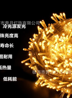 灯串户外满天星彩灯圣诞婚庆串灯