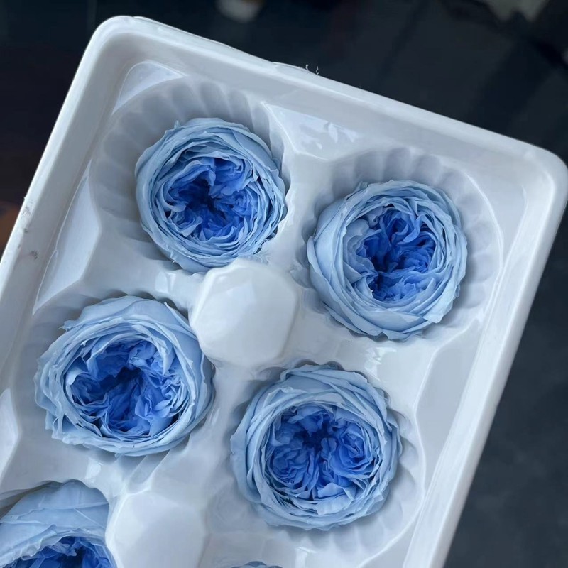 等花来国产A级4-4.5cm材料包diy车挂七夕情人节永生花奥斯汀玫瑰