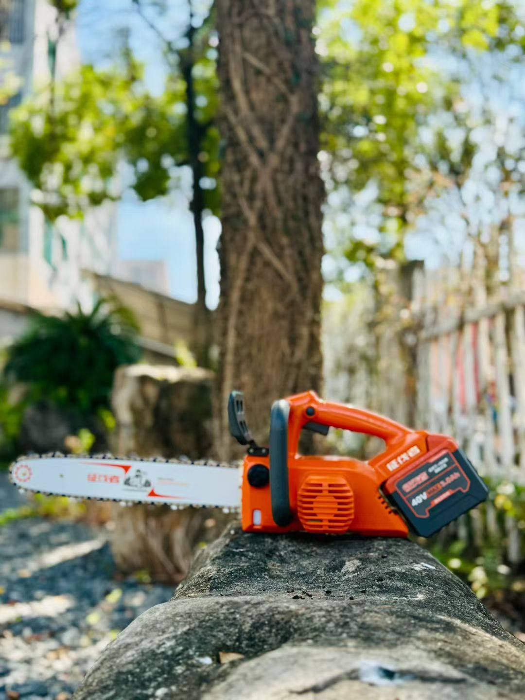 征伐者D538锂电锯 纯铜无刷电机36V48V60V72V可用,淘宝优惠券,粉丝福利购,淘宝优惠卷