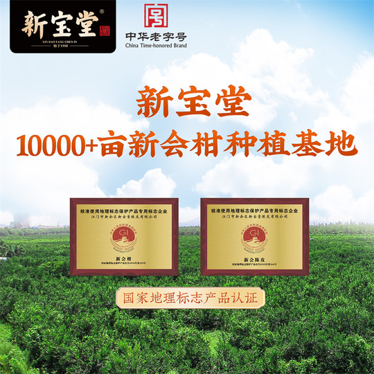 新宝堂官方十五年新会陈皮礼盒15年陈皮蕴月瓶年货礼盒250克