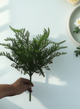 仿真蕨类植物墙插花背景布置北欧风室内装饰软胶水草绿色巢蕨假花