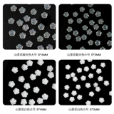 Горный чай, японское белое украшение для ногтей, трехмерные накладные ногти с розой в составе для ногтей, аксессуар, простой и элегантный дизайн, 3D цветок