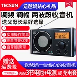 Tecsun de Sheng CR-1100DSP Полупроизводство
