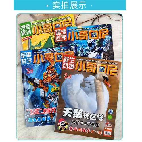 【过刊处理】小哥白尼杂志军事科学/趣味科学/野生动物/神奇星球2025/2024年1-12月期间带赠品8-12岁中小学生漫画青少年科普非2026 - 图3