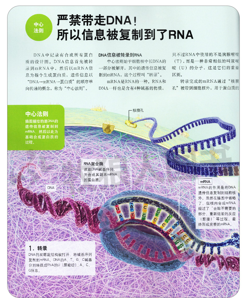 Newton科学世界杂志2024年1-6月【全年/半年订阅//2023年1-12月】典藏版增刊ChatGPT科学技术知识探索发现科普非合订本2022过期刊 - 图3