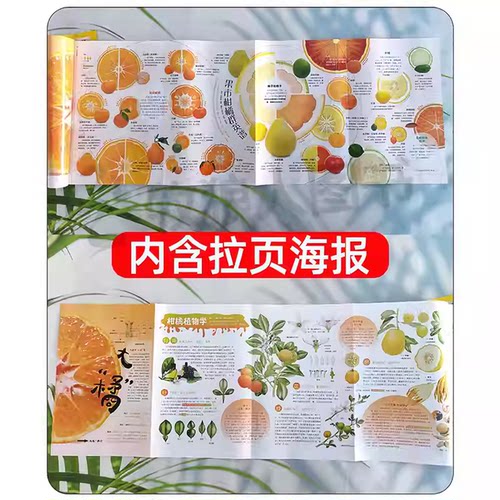 1/2月新博物杂志2026年1-12月全年/半年订阅/增刊青少年版自然科普大百科全书科学探秘中小学生中国国家地理万物好奇号2025过刊 - 图3