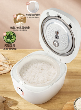 飞鹿2.5L多功能2-4人全陶瓷内胆