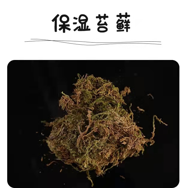 爬宠白玉蜗牛蜘蛛蜥蜴辅材垫材蜗牛营养饲料保湿椰土细沙钙粉食物