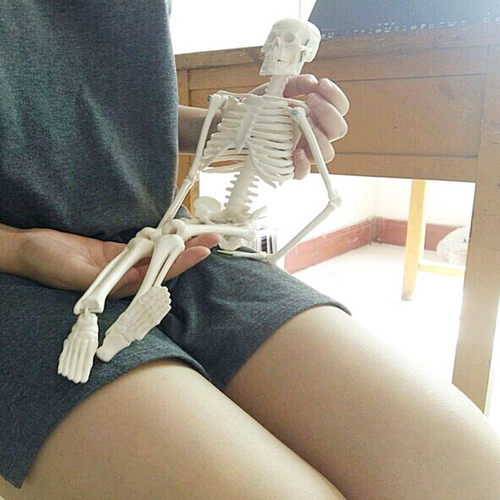 医学教学人体骨骼模型45CM厘米 85CM骨骼模型骨架 小针刀诊所脊柱 - 图0