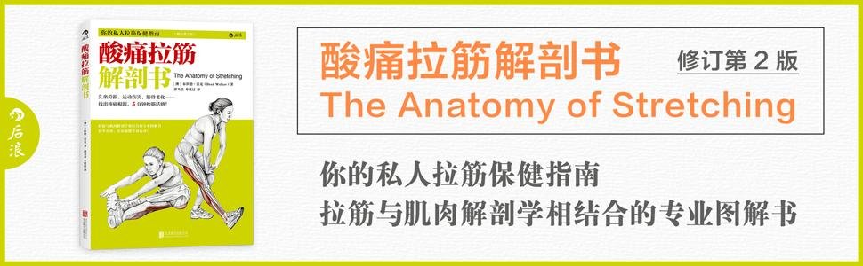 后浪正版酸痛拉筋解剖书拍打肌肉恢复训练动作拉伸基本动作锻炼教程无器械健身书籍-图0