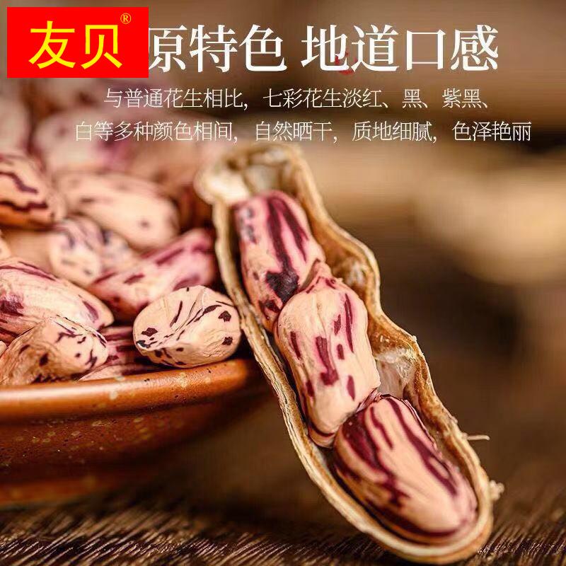 云南七彩花生黑花生新货带壳500g晒干生水果花生养胃零食坚果特产 - 图0