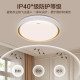 Philips full spectrum intelligent control ceiling light