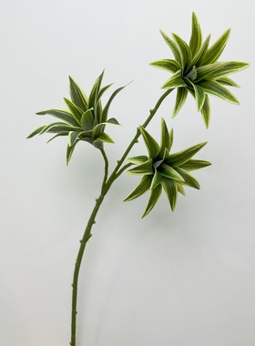 3叉金边百合竹 仿真绿植手感胶片布造景装饰花紫露草高品质叶材