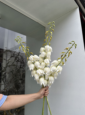法式风铃 假花束客厅桌面摆件插花永生花拍照布景装饰品