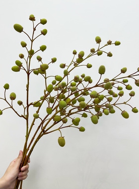 花艺室内浆果猕猴桃果枝假花花束家居摆件仿真绿植毛桃果装饰干花