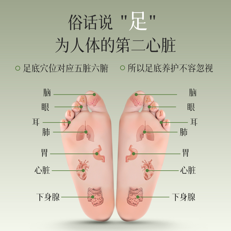 城城家【抽湿机升级版】非遗19味草本专利技术后辰三好艾足贴42贴 - 图1