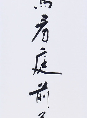 哲理名言 赵立鹤对联书法 宠辱不惊玄关走廊挂画书房办公室装饰画