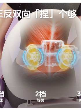 iRest/艾力斯特t90护腰按摩靠垫