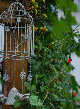 外贸出口美式乡村风园艺垂吊小鸟