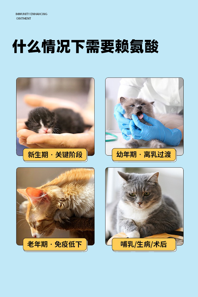 果果与王赖氨酸b12维生素营养膏猫安膏调理猫鼻支猫用增强免疫 - 图0