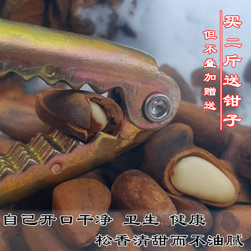 2025东北长白山脉未加工生熟红松新鲜松子大松籽孕妇坚果包邮 - 图2