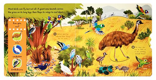 英文原版绘本First Explorers: Beautiful Birds美丽的鸟儿机关操作纸板书幼儿科普认知趣味玩具书动手锻炼游戏玩具童书0-6岁 - 图2