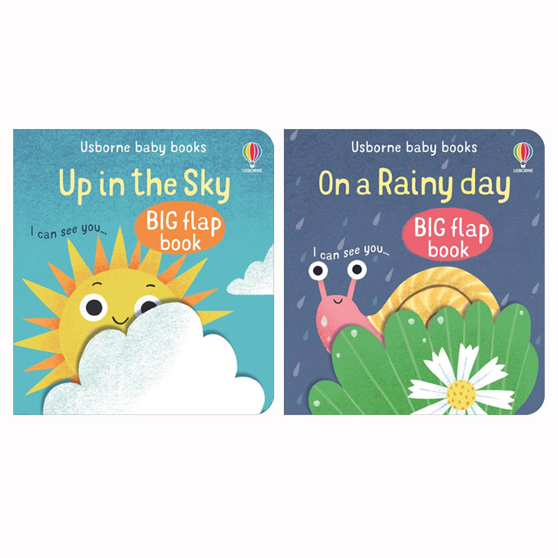 英文原版宝宝认知翻翻书 系列2本 Baby’s Big Flap Books: On a Rainy Day/Up in the Sky 2-6岁儿童互动阅读精装翻翻书 - 图0