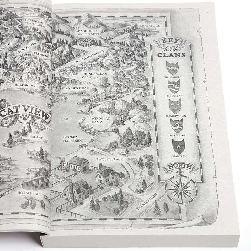 送音频英文原版猫武士第六部曲暗影幻象Warriors A Vision of Shadows1-6册儿童文字章节桥梁书冒险奇幻小说学生课外阅读物,淘宝优惠券,粉丝福利购,淘宝优惠卷