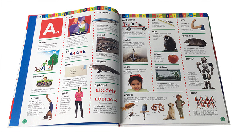 英文原版绘本DK My First Dictionary儿童入门词典精装大开 培养宝宝英语认知能力看图识字3-6-8岁读物字母单词正版进口图画书 - 图2