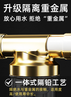 惠安特智控水动力前置过滤器