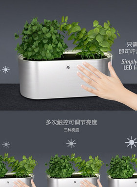 智能wmf不锈钢欧式家庭种植花盆