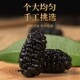 Dried black mulberry 500g bagged large particles