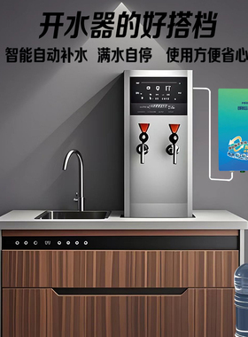 台下桶装水自动抽水器智能水泵厨房水槽水龙头电动吸水器上水加水